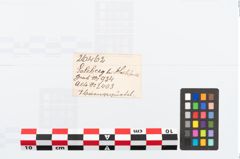 Etikett zu Bronzegürtelblech (NHMW-PRAE-026462)